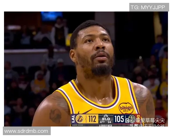 湖人对掘金精彩对决回放分析与赛后点评分享